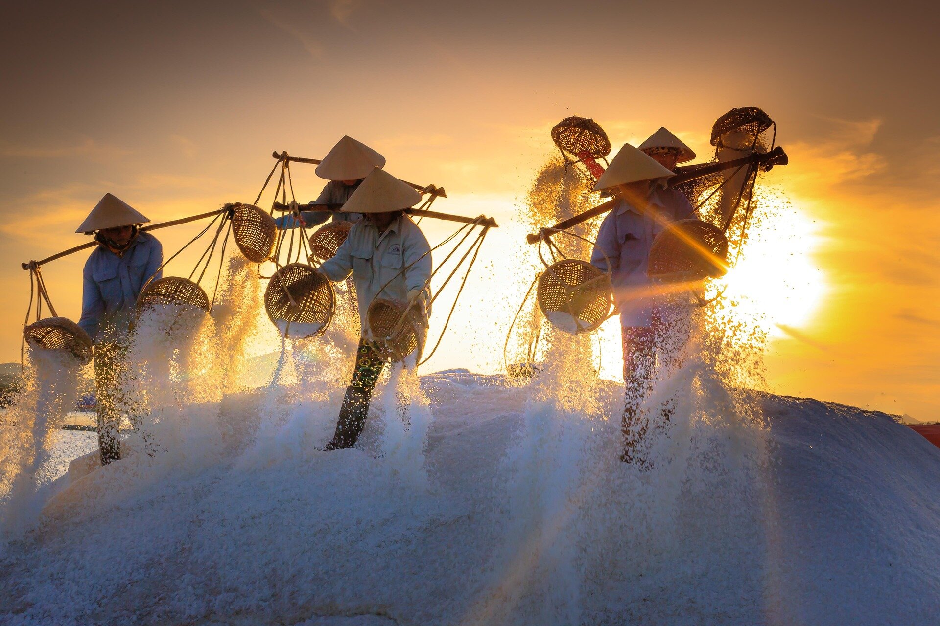 Begin your Ca Mau Tours with a scenic adventure